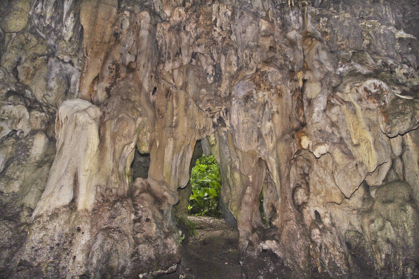 CHamoru ancestry linked to the Philippines, Taiwan
